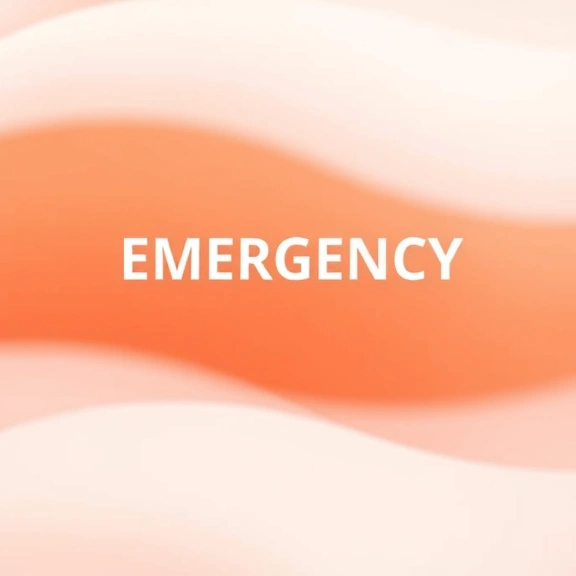 Conceitos visuais relacionados a Emergency Fund: How Much Do You Really Need?